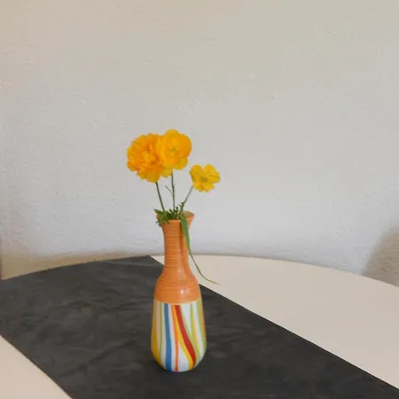 Nicole Appartement Sveti Petar (Zadar)